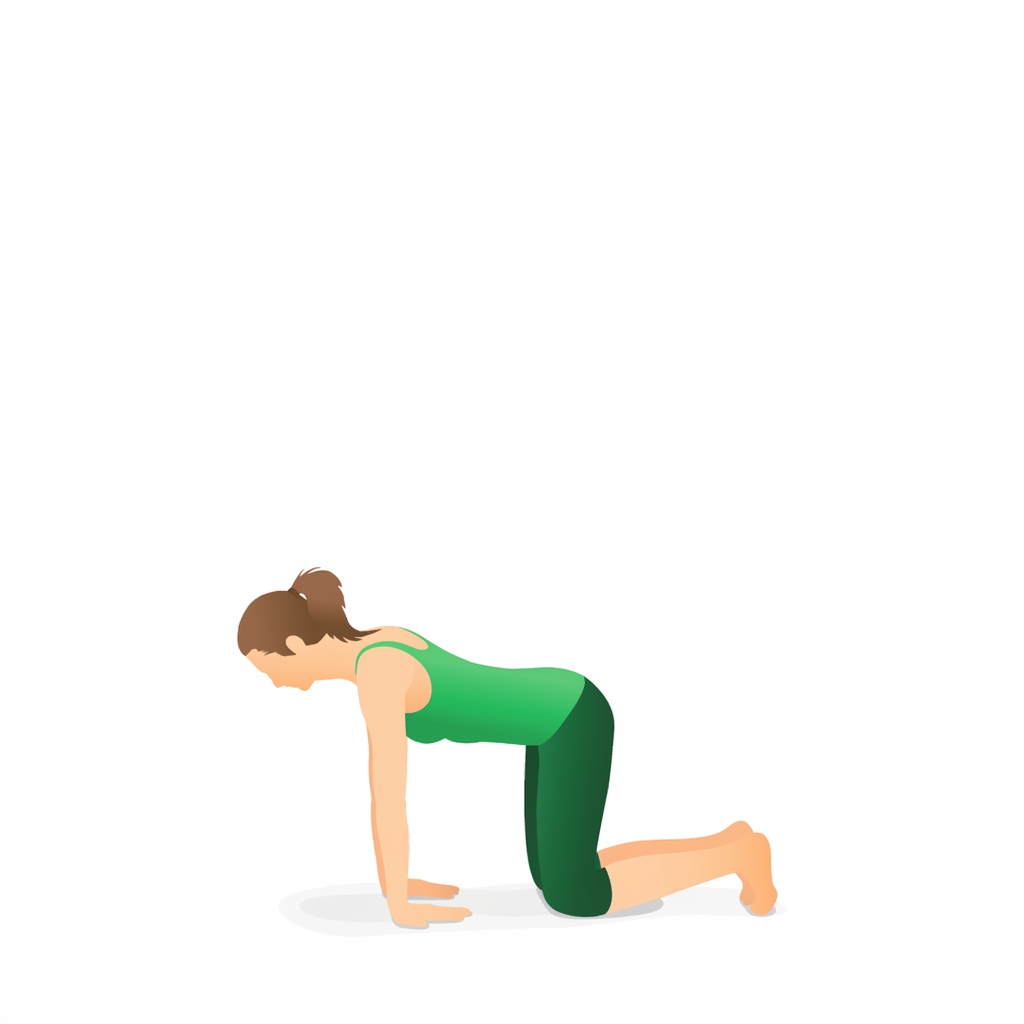 Tư thế Tư thế Con công chuẩn bị