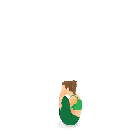 Tư thế Tư thế Phôi thai trong tử cung