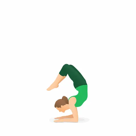 Tư thế Tư thế Bọ cạp